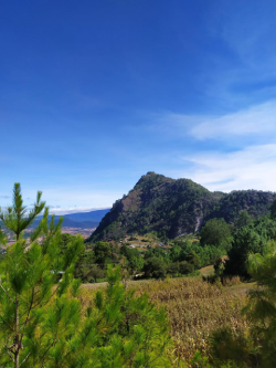 cerro de gachupin de magdalena peñasco