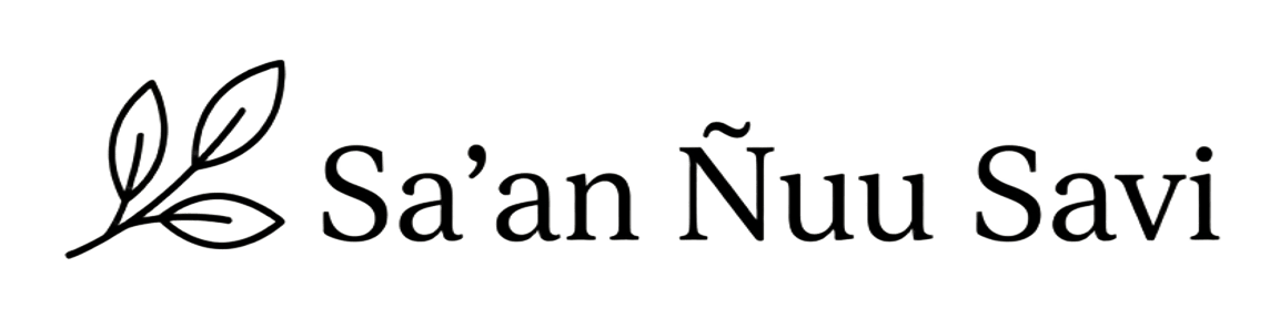 logo sa'an ñuu savi