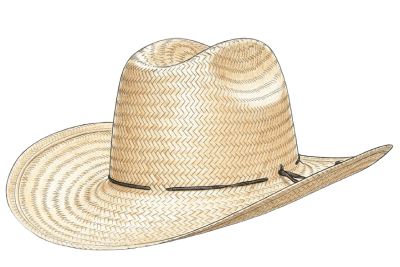 sombrero de palma