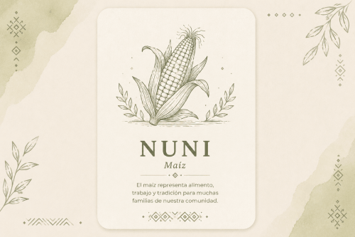 Ilustración de una mazorca de maíz que representa la palabra mixteca "Nuni" (maíz).